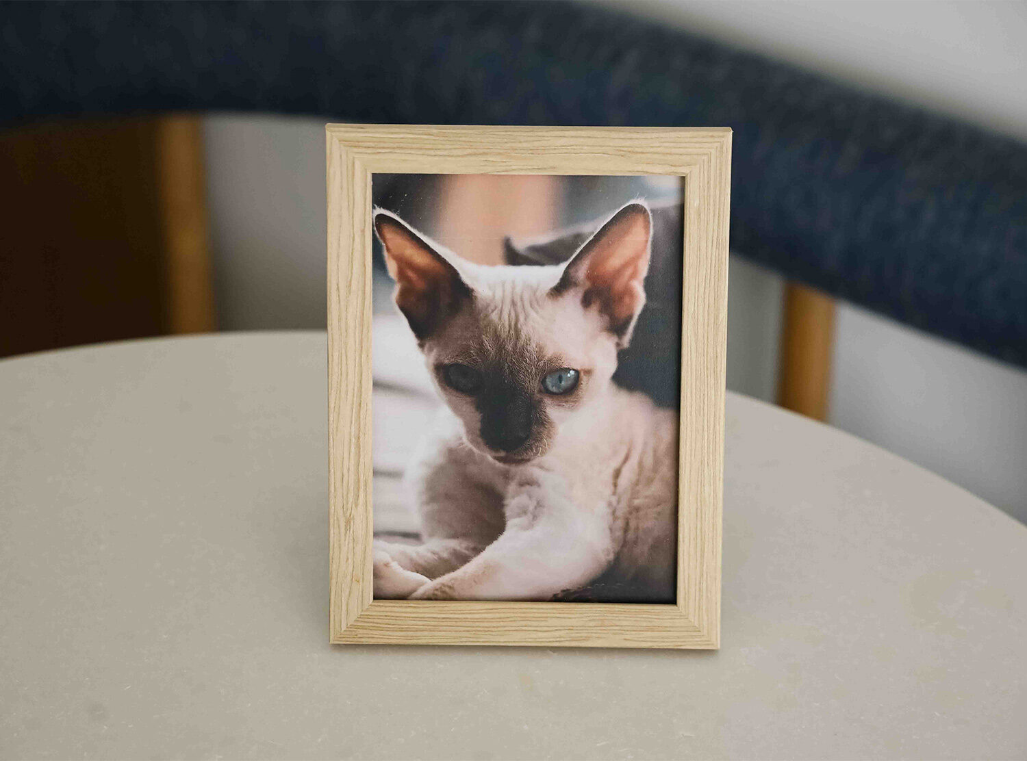 Alsace A picture of my kitten, Aki, that the concierge team surprised me with during my stay. The sweetest thing!