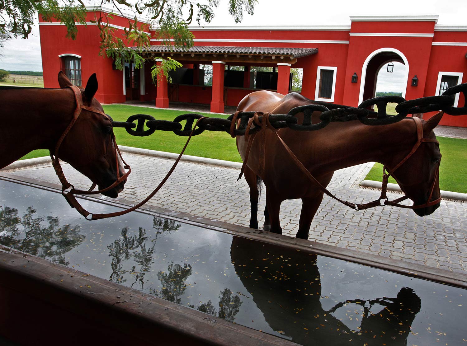 Horseback riding