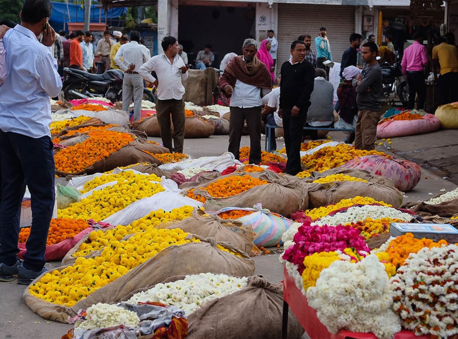 The Johri Saturday morning at the flower market. Tulips, marigolds, jasmine — you name it, they have it! 