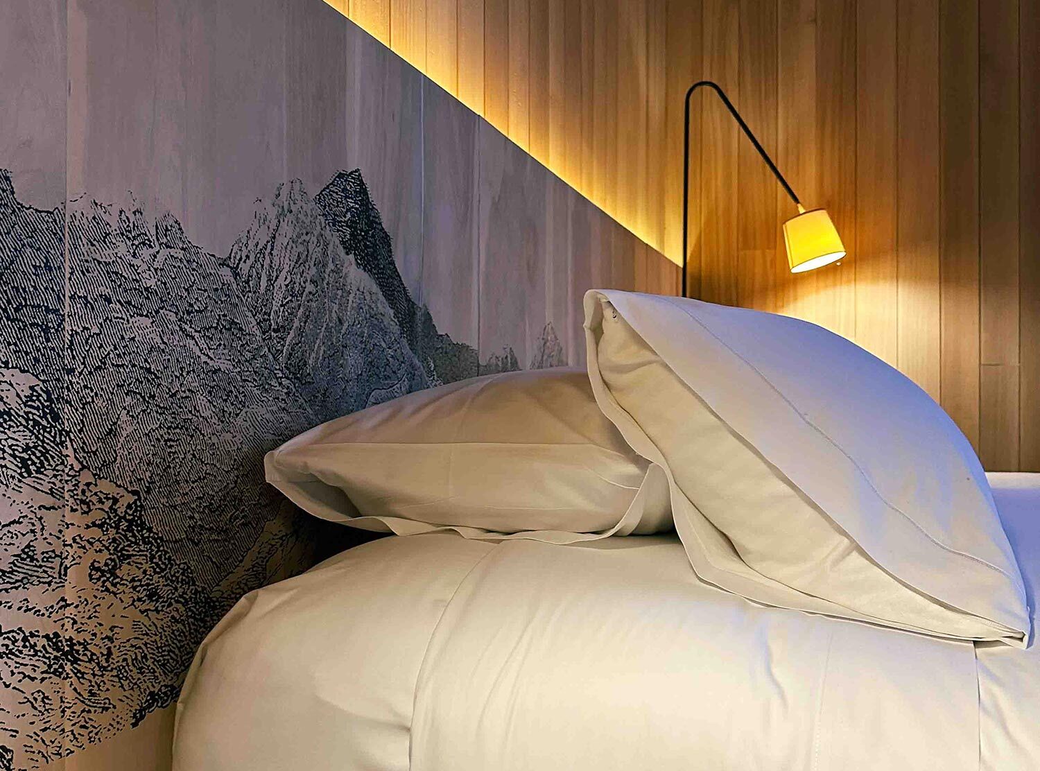Hotel Magnolia Dreaming of the Andes. I appreciate a hotel wooden headboard, this one features an engraving of the cordillera