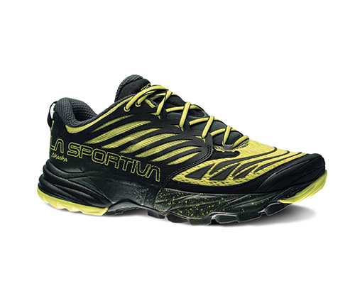 Hiking Shoes