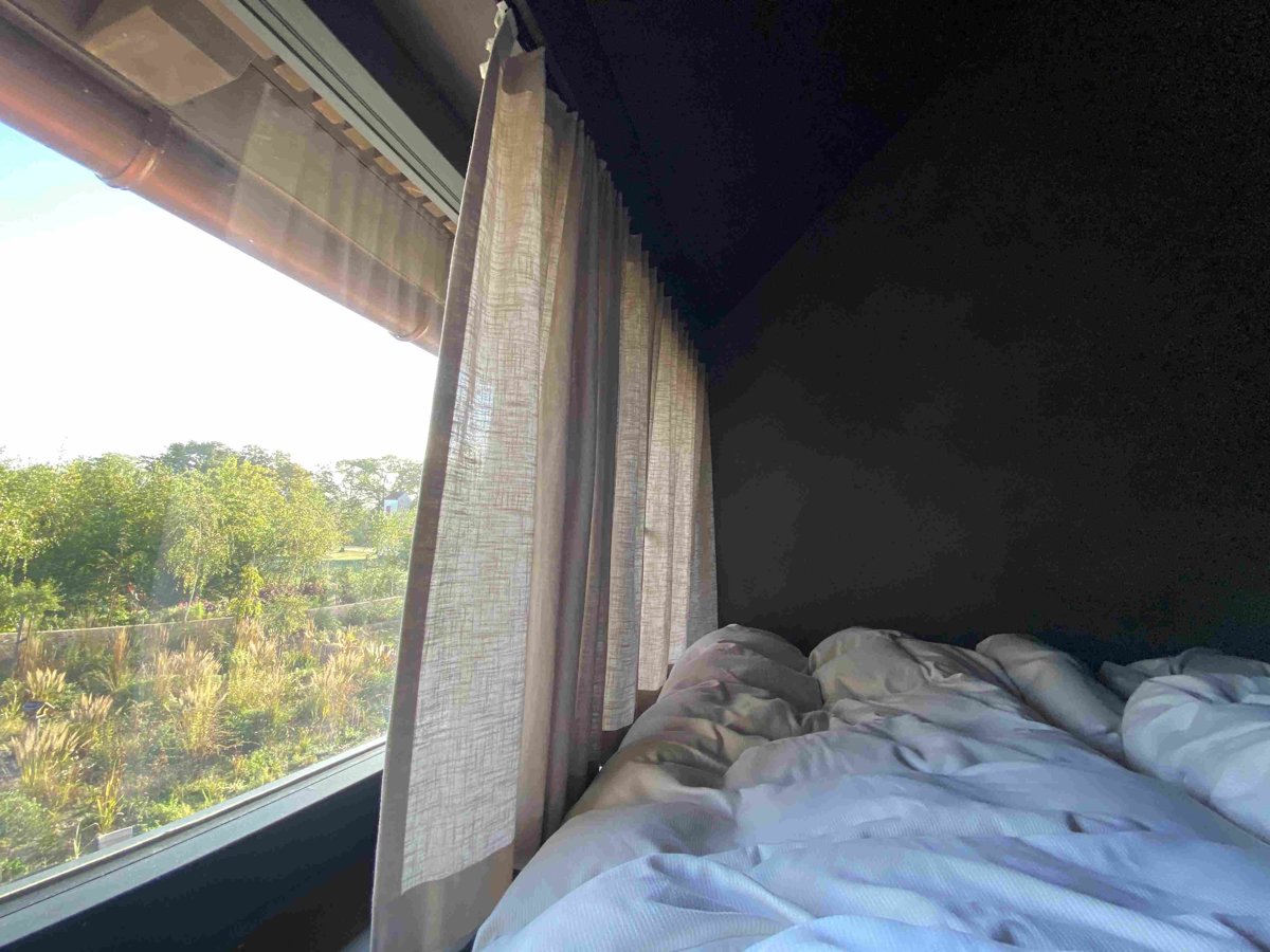 Michelberger Farm Woke up with verdant views of the garden