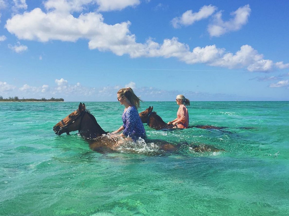 Pampered Ponies