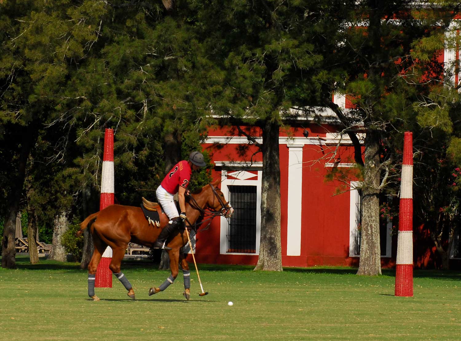 Polo match