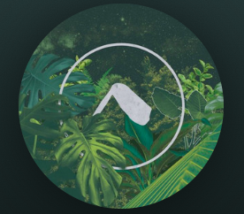Nômade radio