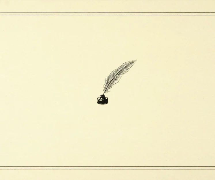 Note Cards
